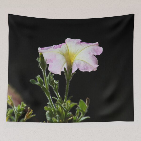 Item preview, Sun Gathering designed and sold by alanathrower.