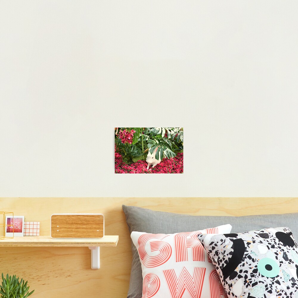Item preview, Photographic Print designed and sold by MangoSeeds.