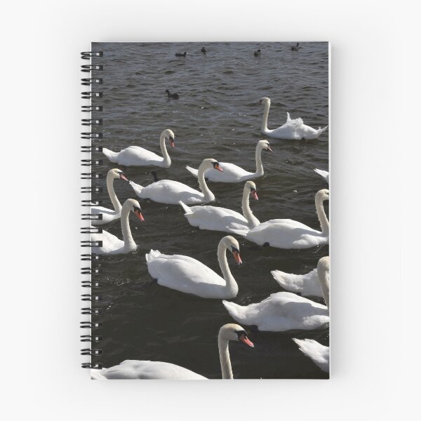Item preview, A Bevy of Swans. designed and sold by Tom Wurl.