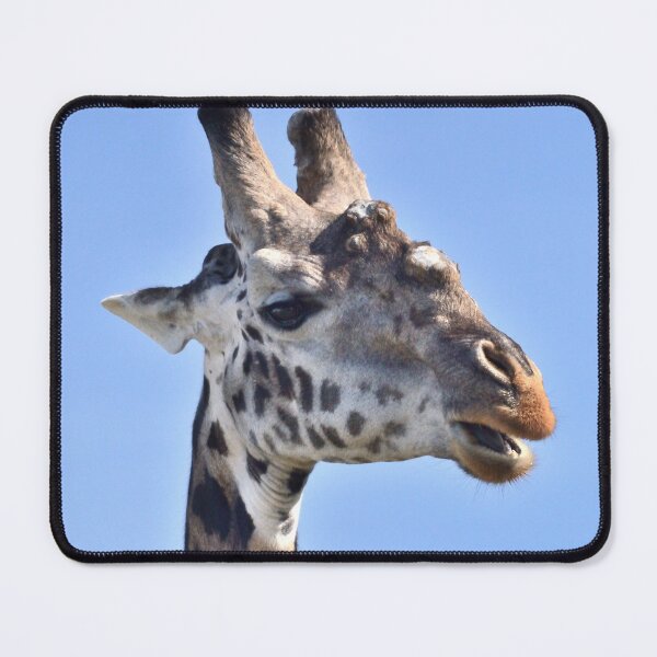 Item preview, Giraffe Headshot designed and sold by Tom Wurl.