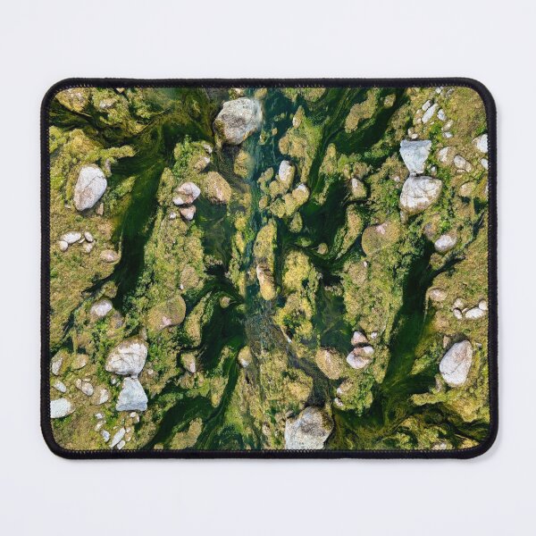 Item preview, Algae and rocks of the Eel River  designed and sold by Of-Moss-And-Mud.
