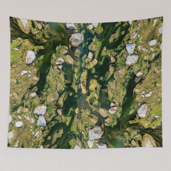 Item preview, Algae and rocks of the Eel River  designed and sold by Of-Moss-And-Mud.