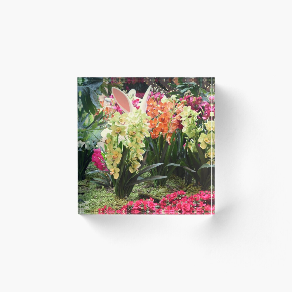 Item preview, Acrylic Block designed and sold by MangoSeeds.