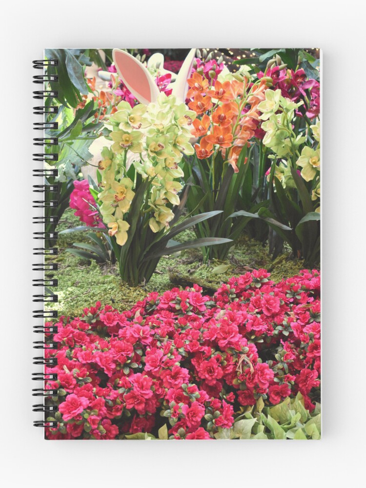 Thumbnail 1 of 3, Journal, Orchid Rabbit 8 designed and sold by MangoSeeds.