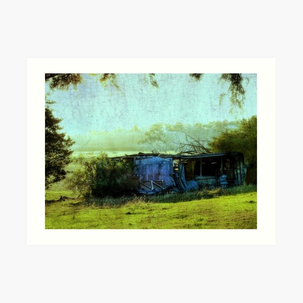A little love and attention..... Art Print