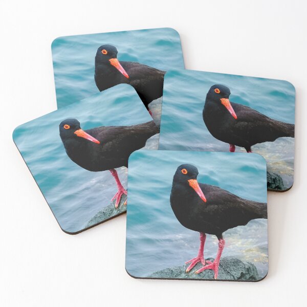 Item preview, Black oystercatcher Tuncurry 64 designed and sold by kevin Chippindall.