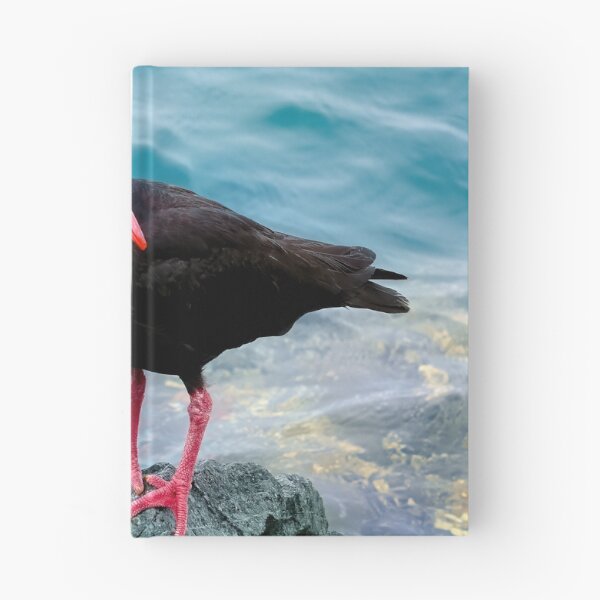 Item preview, Ostrero negro Tuncurry 64 designed and sold by kevin Chippindall.