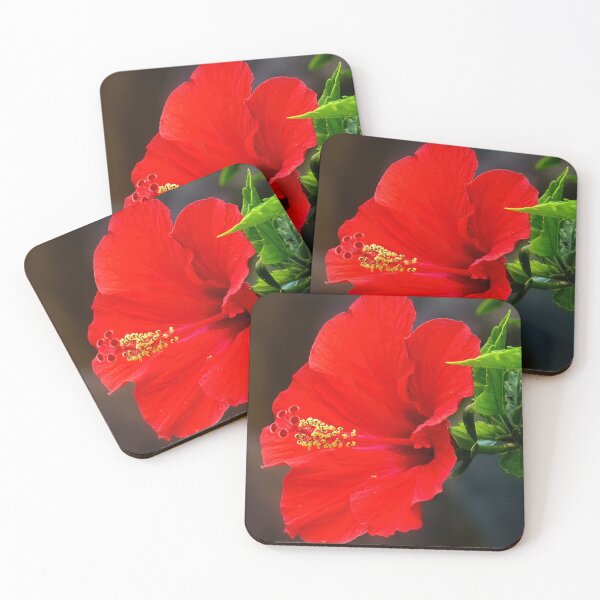 Aperçu de l'œuvre Fleur d'hibiscus 76 créée et vendue par kevin Chippindall.