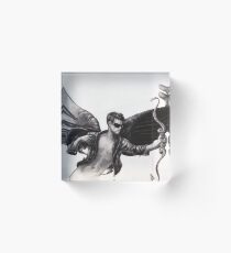 "Feather Bullet" by Maxime Xavier Acrylic Block
