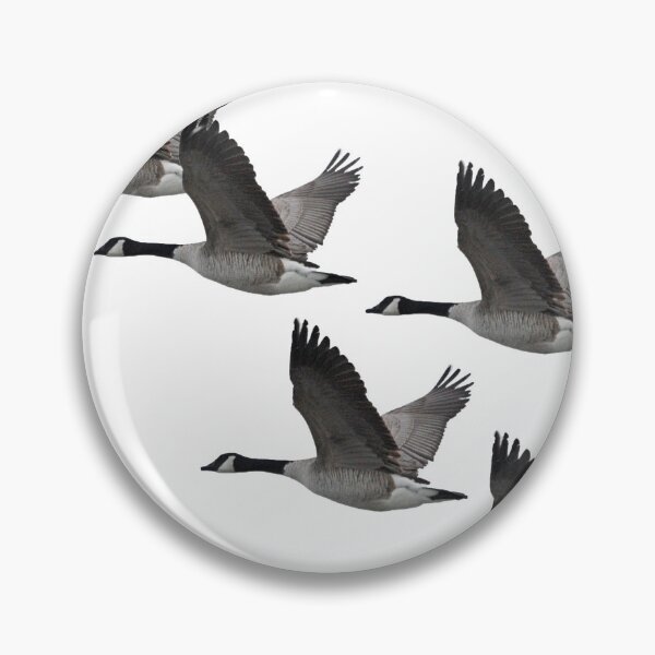 Item preview, Canada Geese Five designed and sold by Whisperingpeaks.
