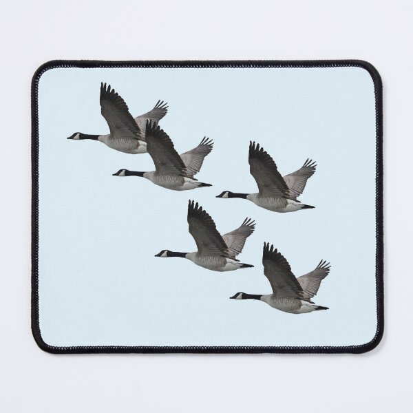 Item preview, Canada Geese Five designed and sold by Whisperingpeaks.