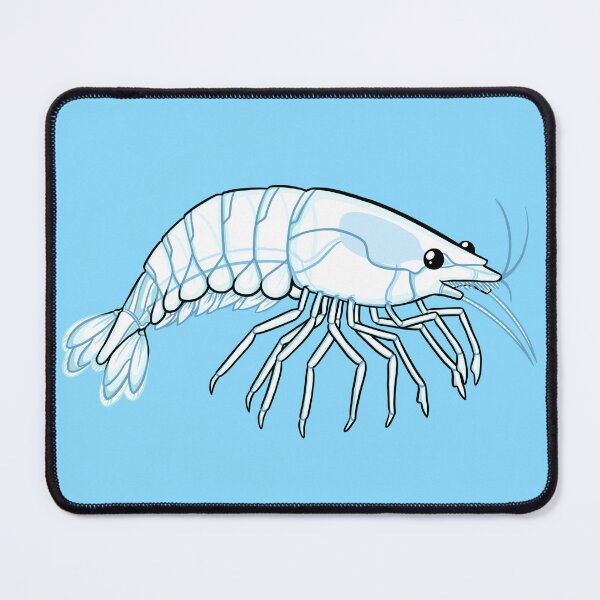 Item preview, Cherry Shrimp (Transparent) designed and sold by DinoDoggie.