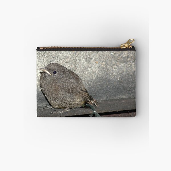 Item preview, Black redstart (Phoenicurus ochruros) - young designed and sold by MarekM.