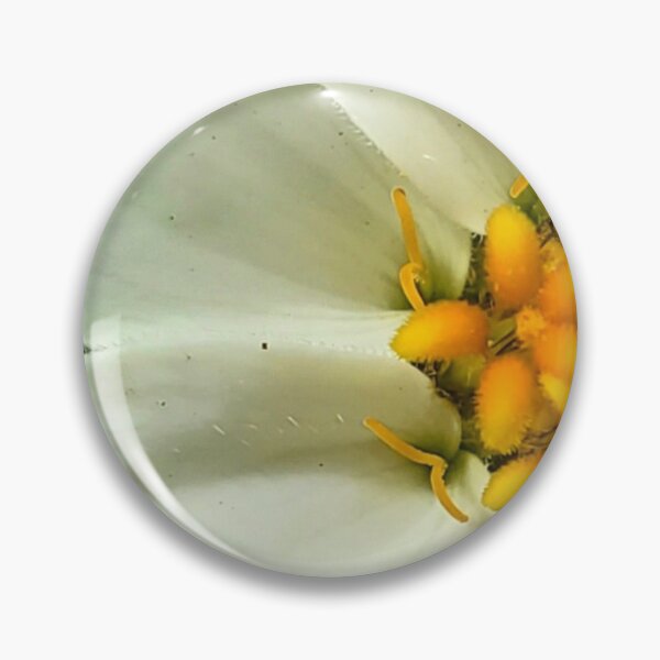 Item preview, I'm ready for my close up! designed and sold by GreenwayGallery.