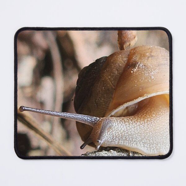 Item preview, I'm outta here designed and sold by GreenwayGallery.