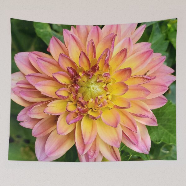 Item preview, It's time to open! designed and sold by GreenwayGallery.