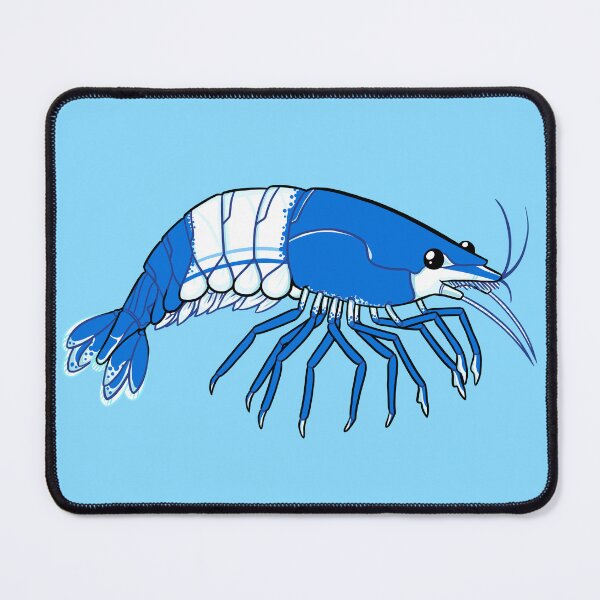 Item preview, Cherry Shrimp (Blue Rili) designed and sold by DinoDoggie.