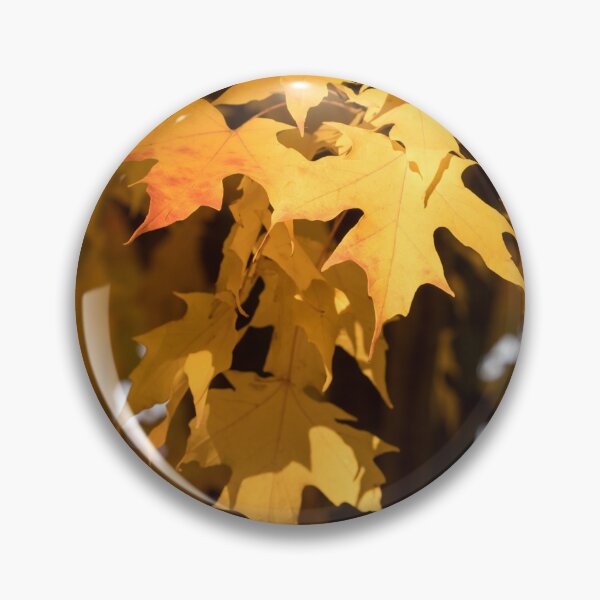 Item preview, Golden Maple Leaves Bathed in Warm Sunshine designed and sold by Georgia Mizuleva.