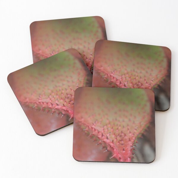 Item preview, Red Tipped Agave designed and sold by lezvee.