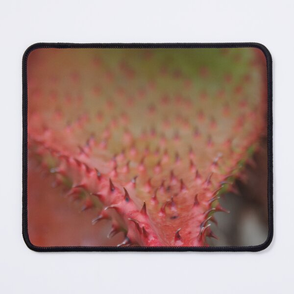 Item preview, Red Tipped Agave designed and sold by lezvee.