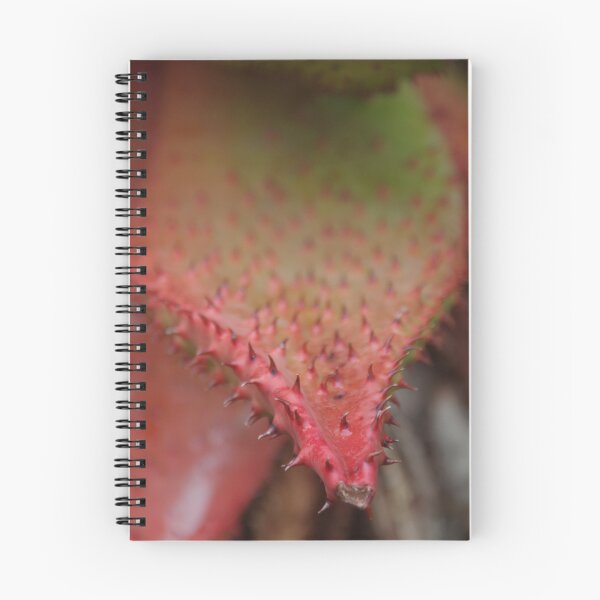 Item preview, Red Tipped Agave designed and sold by lezvee.