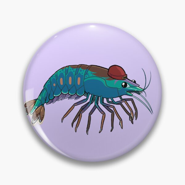 Item preview, Shrimp with Beanie designed and sold by DinoDoggie.