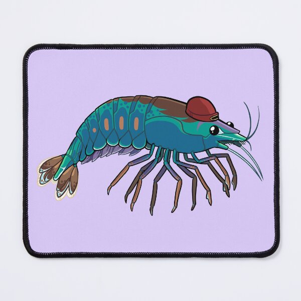Item preview, Shrimp with Beanie designed and sold by DinoDoggie.