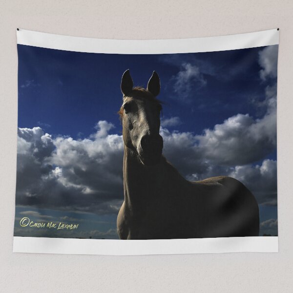 Item preview, horse “Concept Art Clan of Vagabonds” by ©Carina Mac Laughlan designed and sold by clanofvagabonds.
