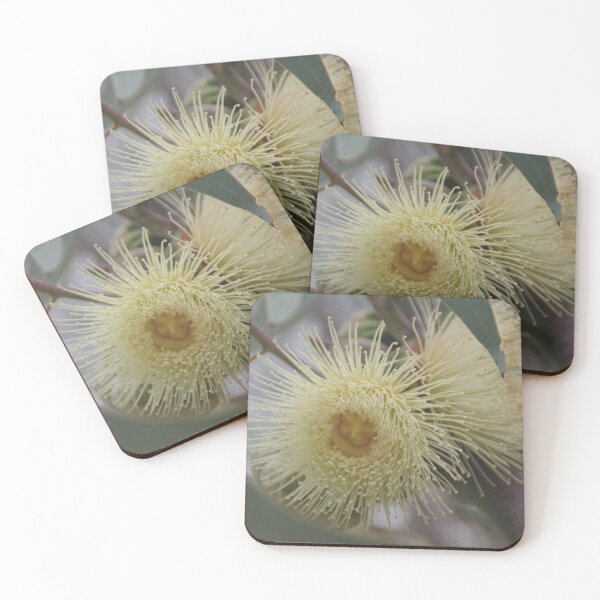 Item preview, White Eucalyptus Gum Blossom designed and sold by lezvee.