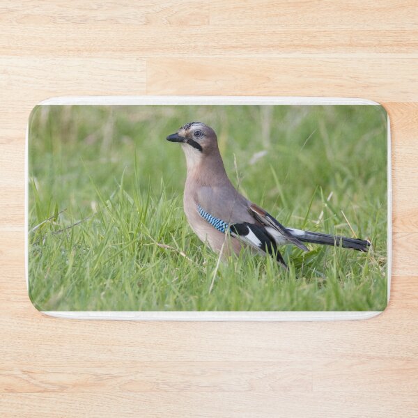 Item preview, Eurasian Jay - Garrulus glandarius designed and sold by LaurenTucker.