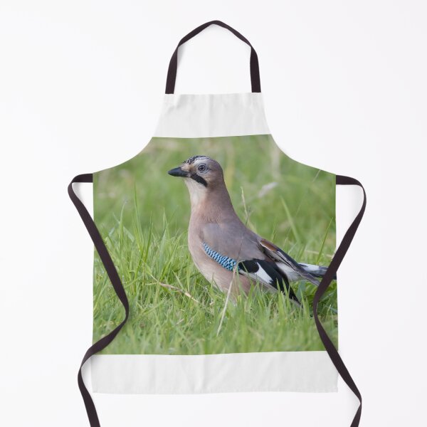 Item preview, Eurasian Jay - Garrulus glandarius designed and sold by LaurenTucker.