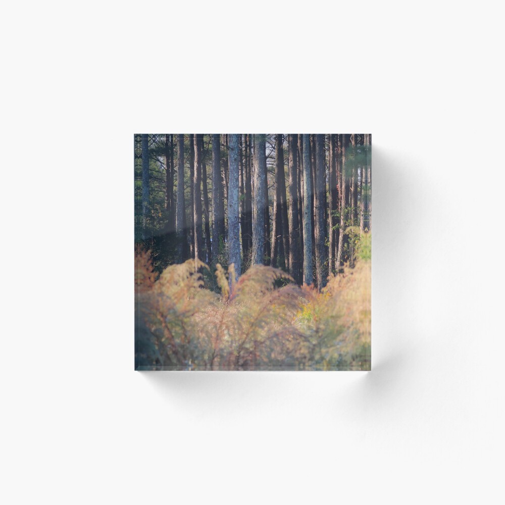 Item preview, Acrylic Block designed and sold by NatureWithX.
