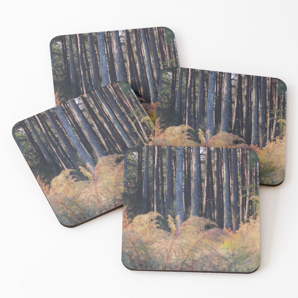 Item preview, Coasters (Set of 4) designed and sold by NatureWithX.