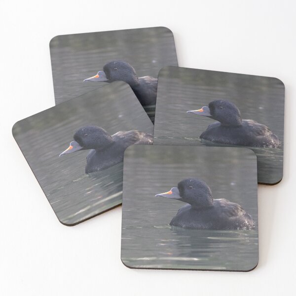 Item preview, Common Scoter designed and sold by LaurenTucker.