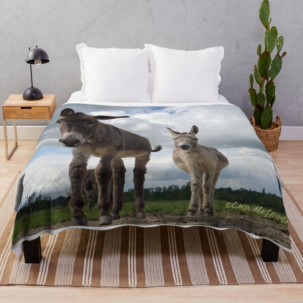 Item preview, Donkeys “Concept Art Clan of Vagabonds” by ©Carina Mac Laughlan designed and sold by clanofvagabonds.