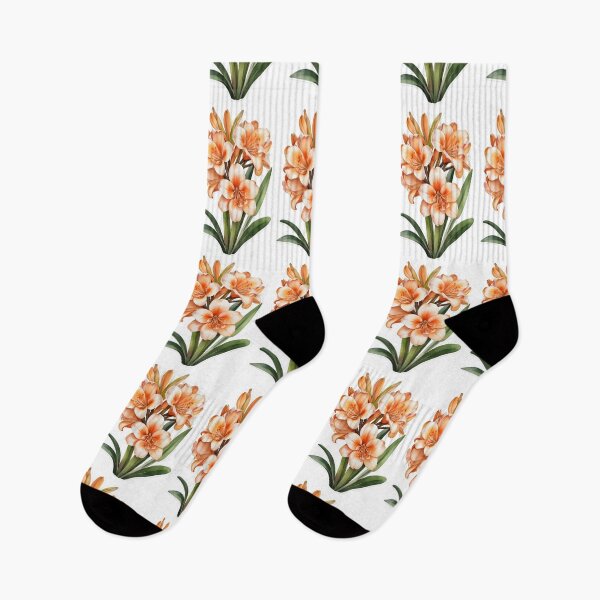 Item preview, Clivia (Clivia miniata) designed and sold by HOMETOWN86.