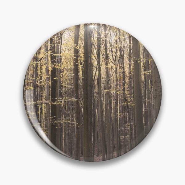 Item preview, Hallerbos, Belgium, Autumn Landscape designed and sold by Imladris01.