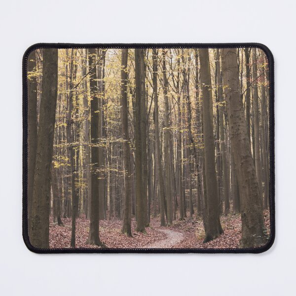 Item preview, Hallerbos, Belgium, Autumn Landscape designed and sold by Imladris01.