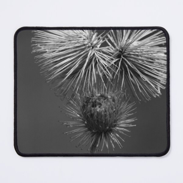 Item preview, Dried Wildflower Closeup Vertical Black And White designed and sold by eddiebarronshop.