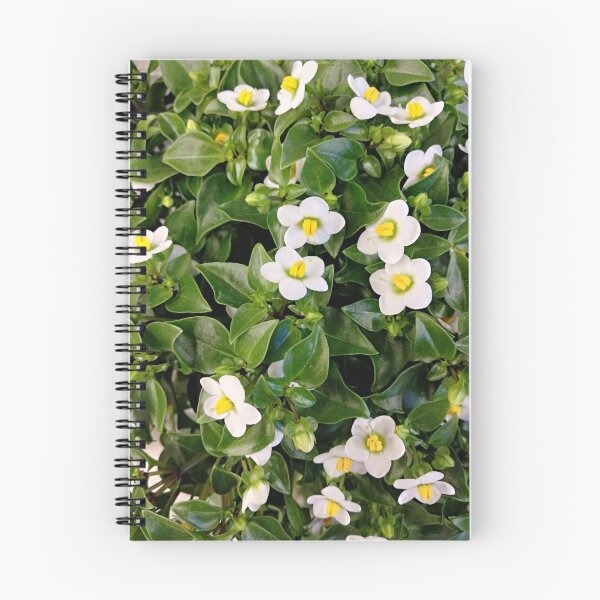 Item preview, White summer flower designed and sold by designer437.