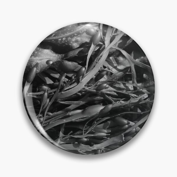 Item preview, Seaweed Closeup Nature Ards Donegal designed and sold by eddiebarronshop.