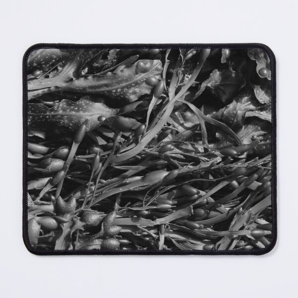 Item preview, Seaweed Closeup Nature Ards Donegal designed and sold by eddiebarronshop.