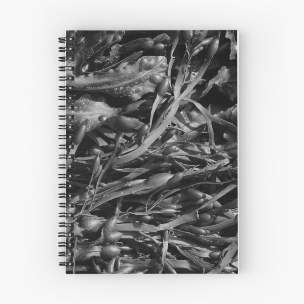 Item preview, Seaweed Closeup Nature Ards Donegal designed and sold by eddiebarronshop.