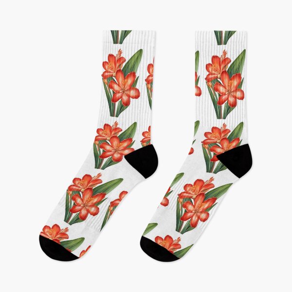 Item preview, Red Clivia (Clivia miniata) designed and sold by HOMETOWN86.