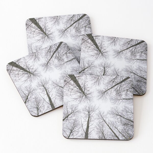 Item preview, Looking up designed and sold by xophotography.