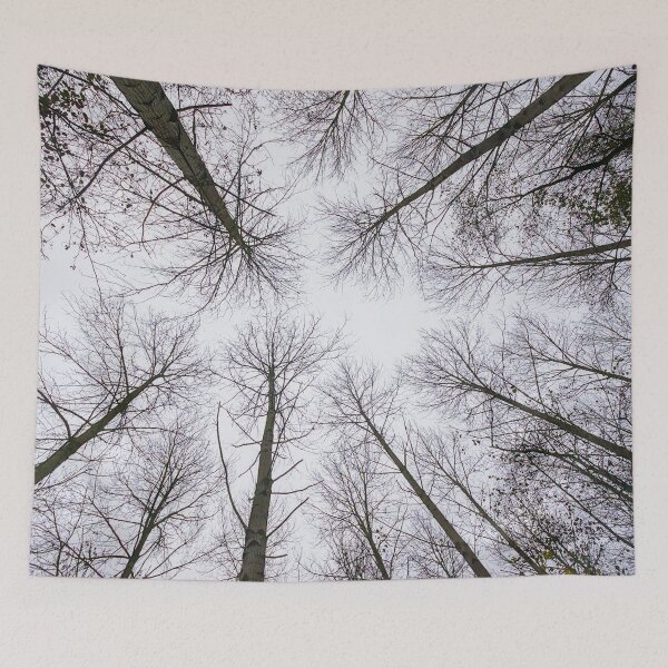 Item preview, Looking up designed and sold by xophotography.