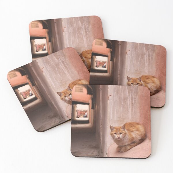 Item preview, street cats of marrakech designed and sold by skalihm.