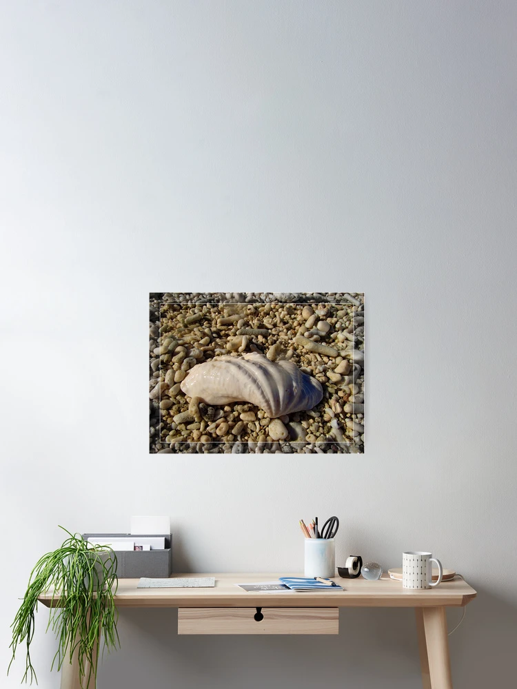Thumbnail 2 of 3, Poster, Shell designed and sold by Alexey Dubrovin.