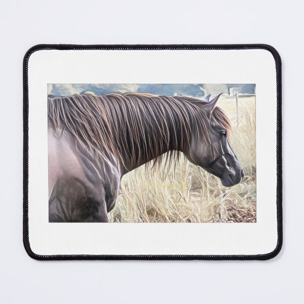 Item preview, Horse Concept Art Clan of Vagabonds” by ©Carina Mac Laughlan designed and sold by clanofvagabonds.