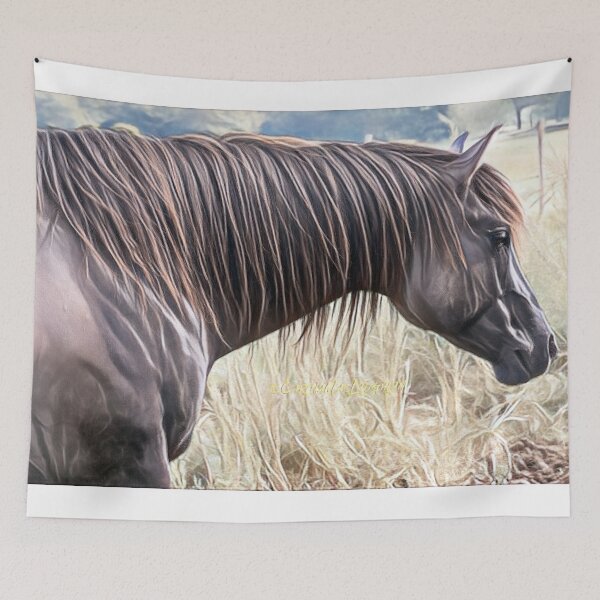 Item preview, Horse Concept Art Clan of Vagabonds” by ©Carina Mac Laughlan designed and sold by clanofvagabonds.